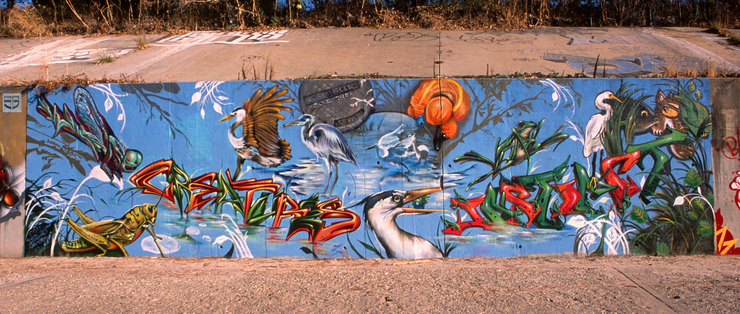 24 Collaboration Pt. 6 - Steve Grody's Graffiti Files