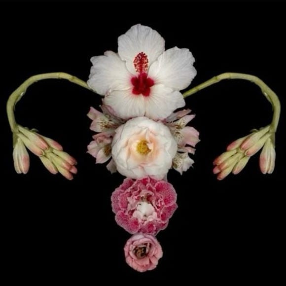 Artwork for Adeline's Substack