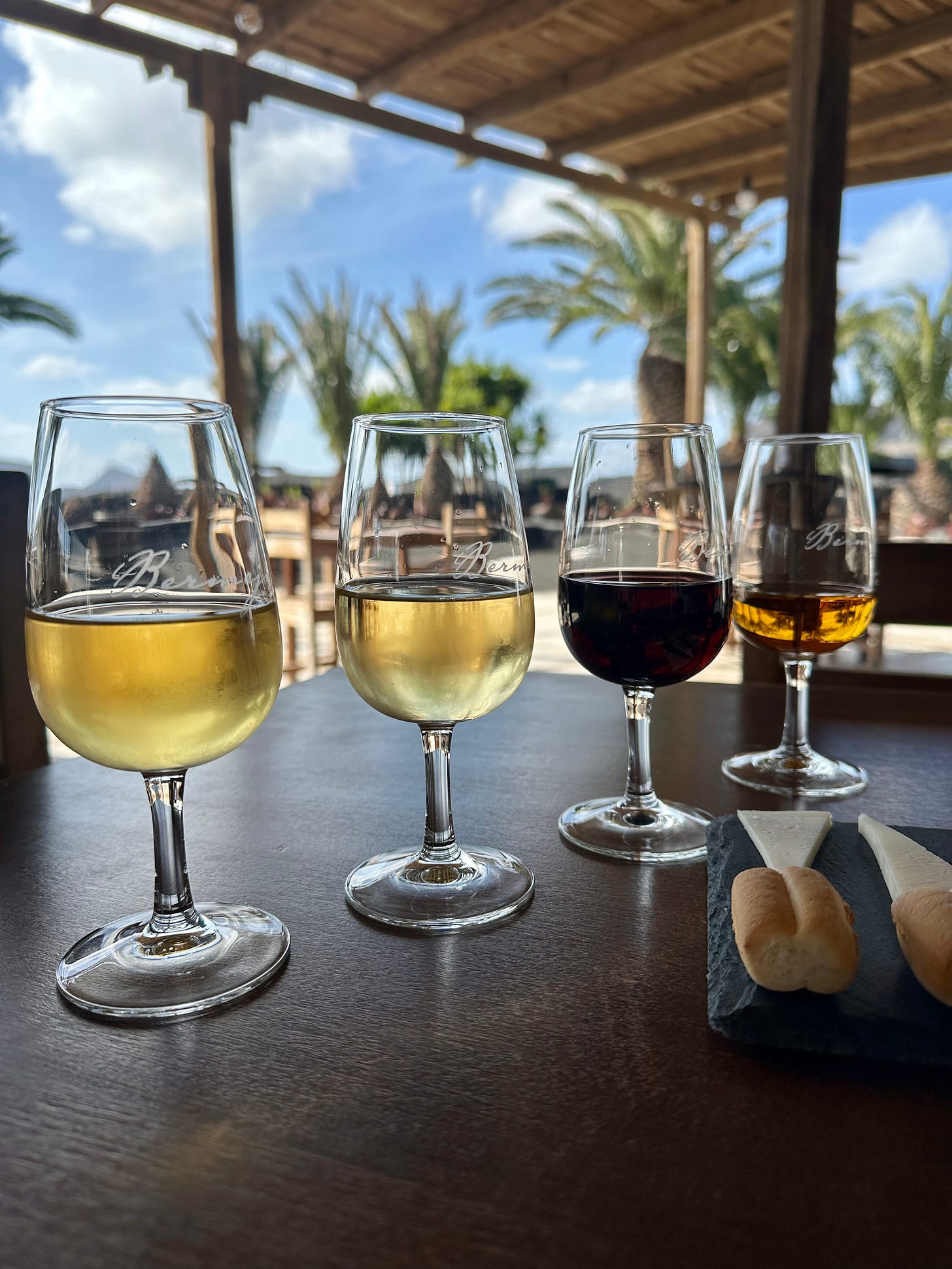 Wine tasting at Bodegas Los Bermejos