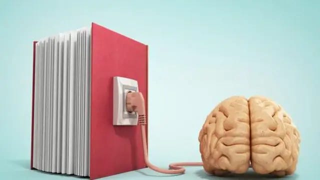 #descrevemospravocê  A imagem mostra, em um fundo azul claro, um grande livro vermelho posicionado em pé à esquerda, com as páginas brancas visíveis e alinhadas. Na lateral do livro, há uma tomada elétrica onde está conectado um plugue cor de rosa, ligado a um fio que se estende até a direita da imagem. O fio está conectado a um cérebro humano, que está posicionado à direita, em tom bege, visto de frente, mostrando as duas metades cerebrais lado a lado. O cenário transmite visualmente a ideia de que o livro está “carregando” ou “transferindo” conhecimento diretamente para o cérebro, utilizando a metáfora de energia elétrica para simbolizar aprendizado e conexão entre leitura e conhecimento. O chão é liso em tom bege claro, sem detalhes adicionais.