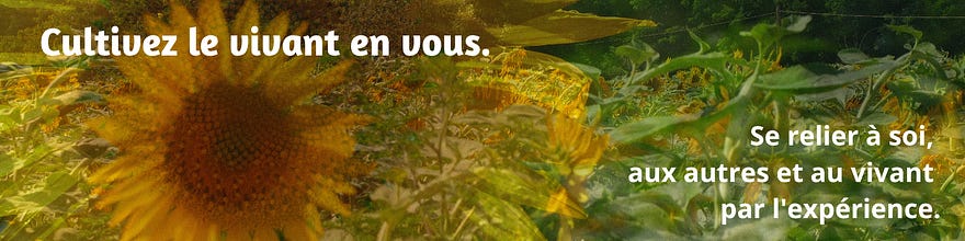 Le vivant en soi