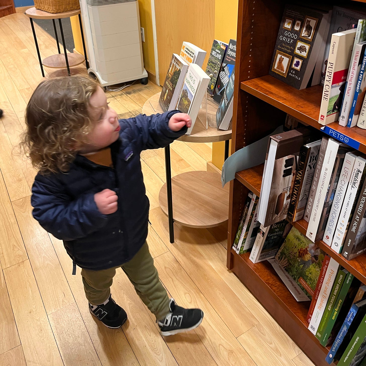 A two-year-old boy with curly blonde hair points to a copy of GOOD GRIEF by E.B. Bartels on a bookshelf in an independent bookstore. A two-year-old boy with curly blonde hair points to a copy of GOOD GRIEF by E.B. Bartels on a bookshelf in an independent bookstore.