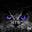 Hasib Seljmo's avatar