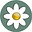 Daisy's avatar