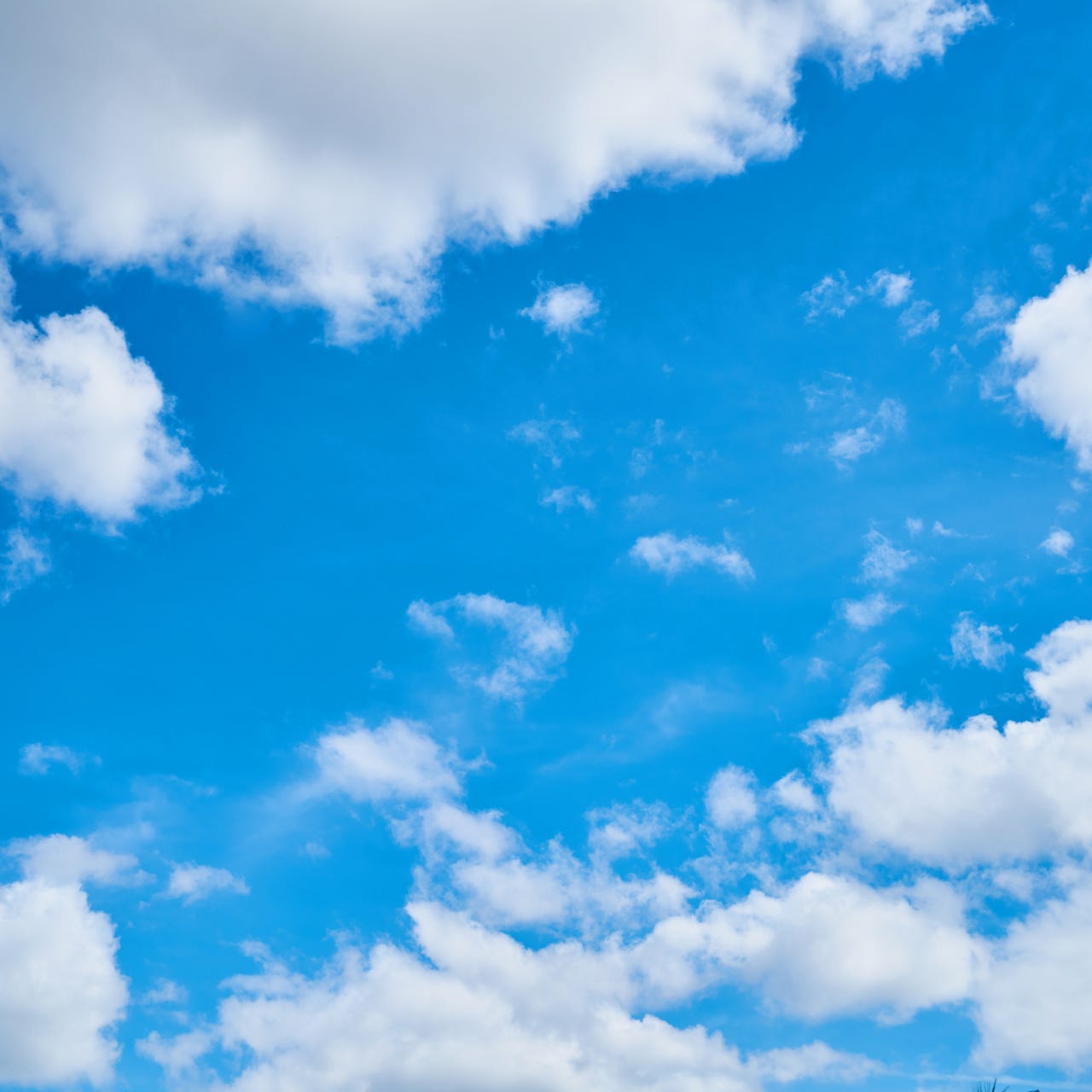 Yvette's Substack logo