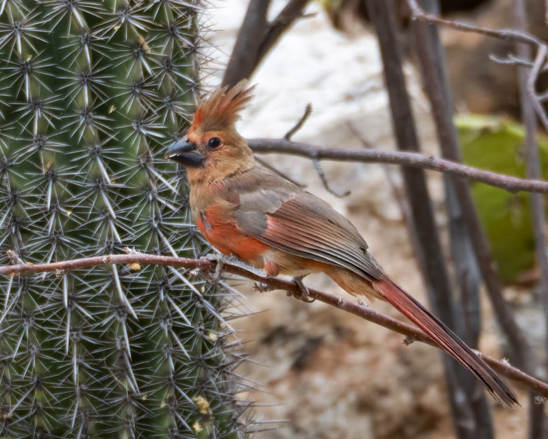 2025-531-MBY-100-Edit.jpg 2025-531-MBY-100-Edit.jpg