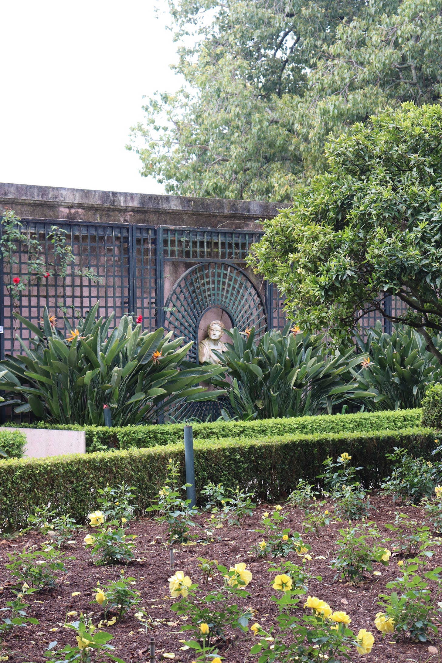 Botanical and Rose Garden Botanical and Rose Garden