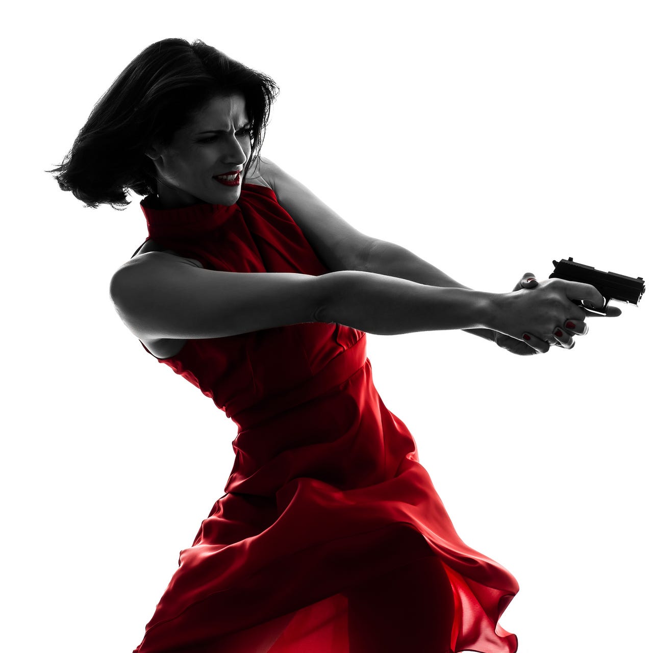 DV Berkom Books logo