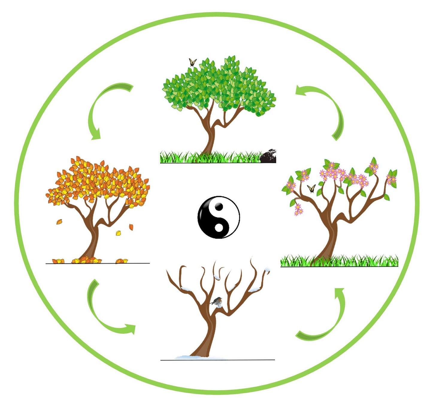The Cycle of Life | ARealGreenLife The Cycle of Life | ARealGreenLife