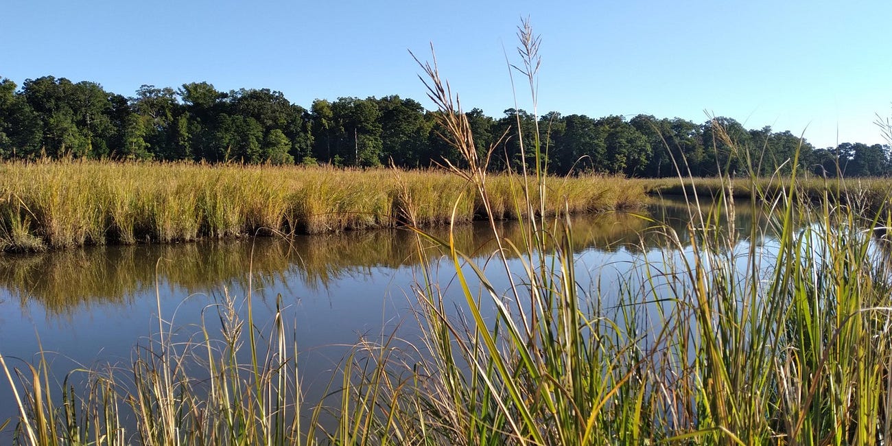 Riprap replenishment among approvals by Chesapeake Bay board