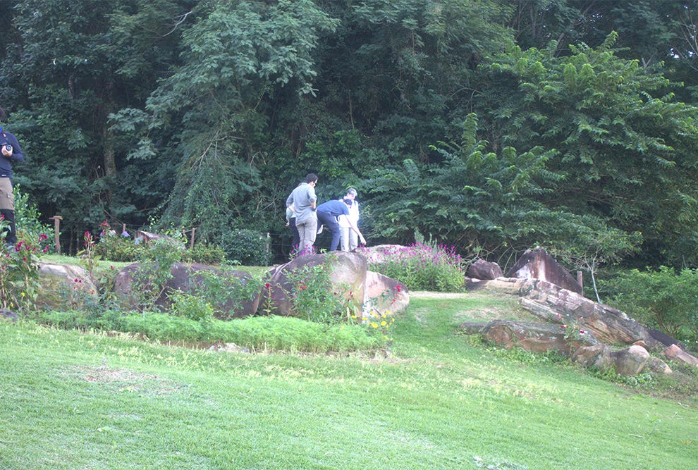 Trêss pessoas em roupas claras estão de pé sobre uma rocha em um jardim com grama verde, cercadas por árvores densas ao fundo, flores roxas e plantas ao redor, enquanto uma terceira pessoa em roupa escura observa à esquerda.