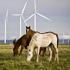 Windletter #28 - El día que la energía eólica salió en los Goya