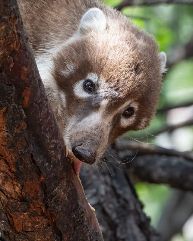 20240623-AZYBC-508-Edit.jpg 20240623-AZYBC-508-Edit.jpg