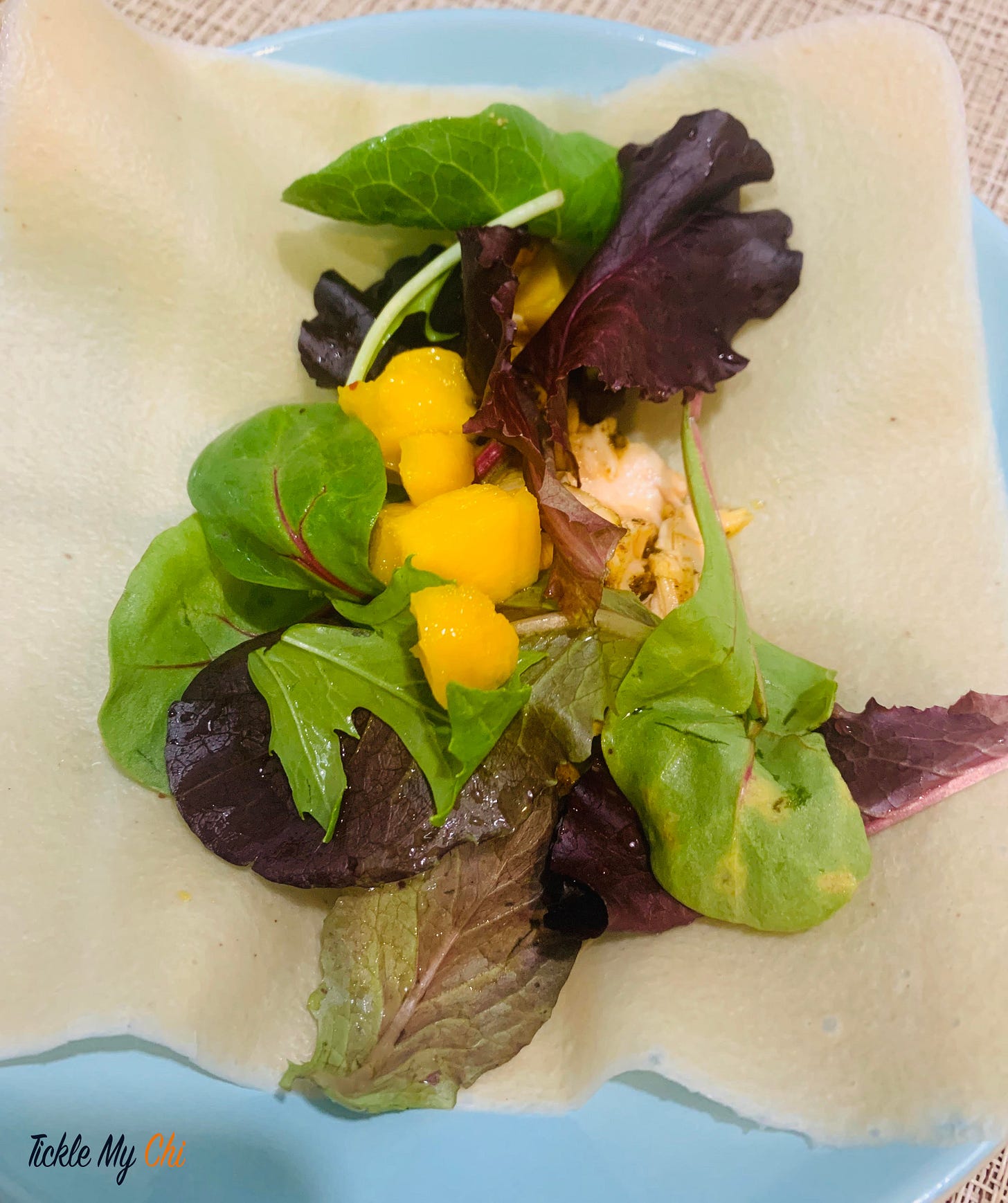 salmon_wrap salmon_wrap