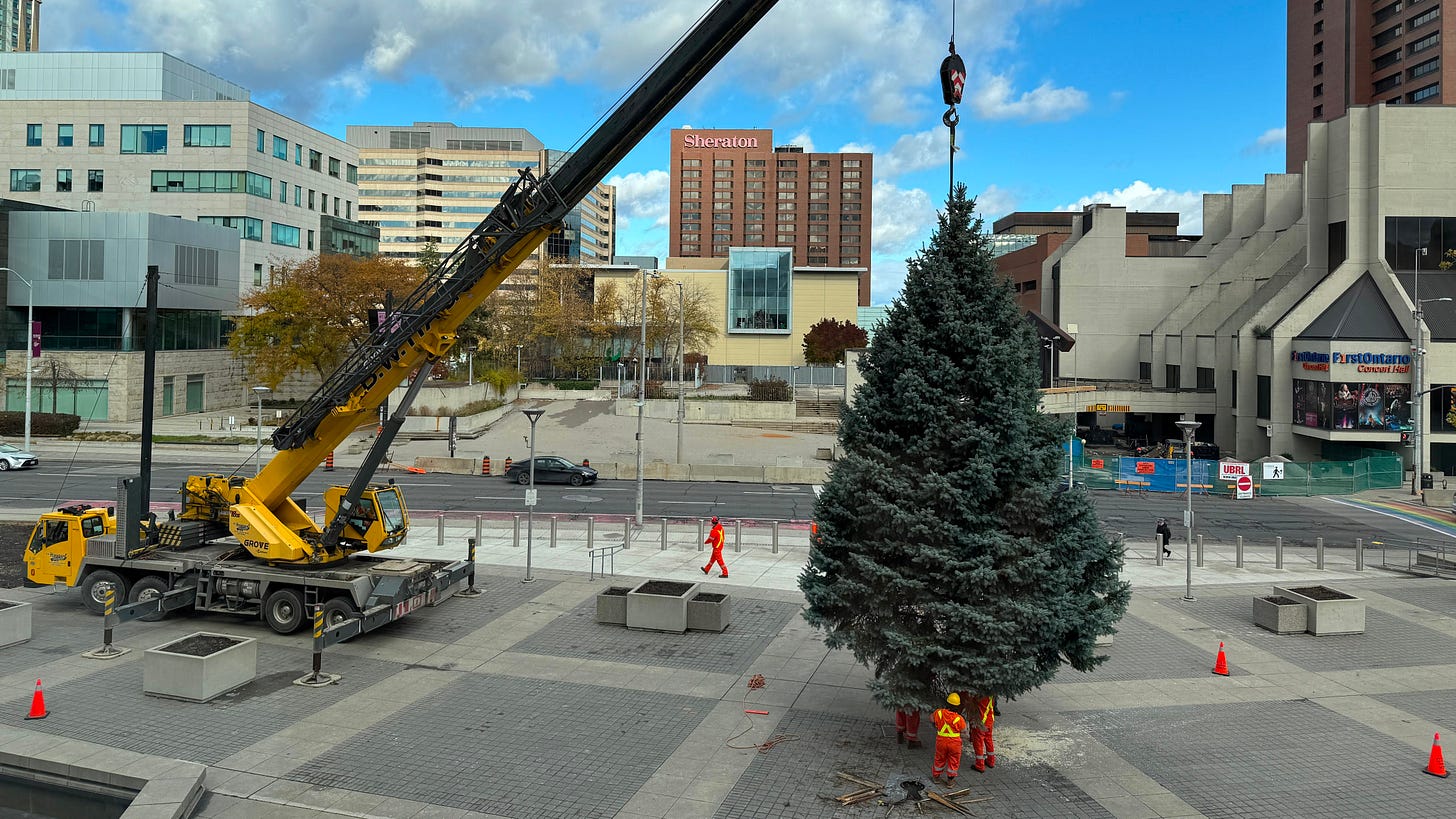 City staff installing the annual Christmas tree in front of City Hall City staff installing the annual Christmas tree in front of City Hall