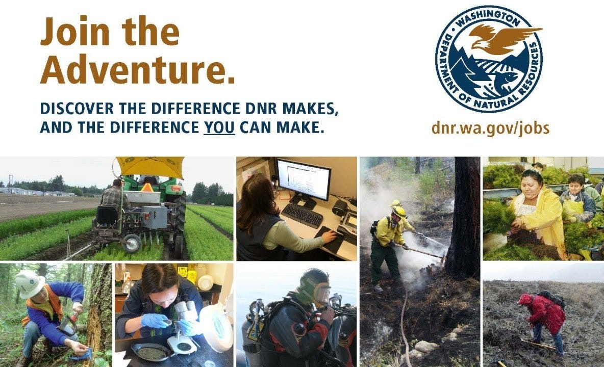 Newsletter cover image