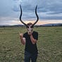 dan's avatar
