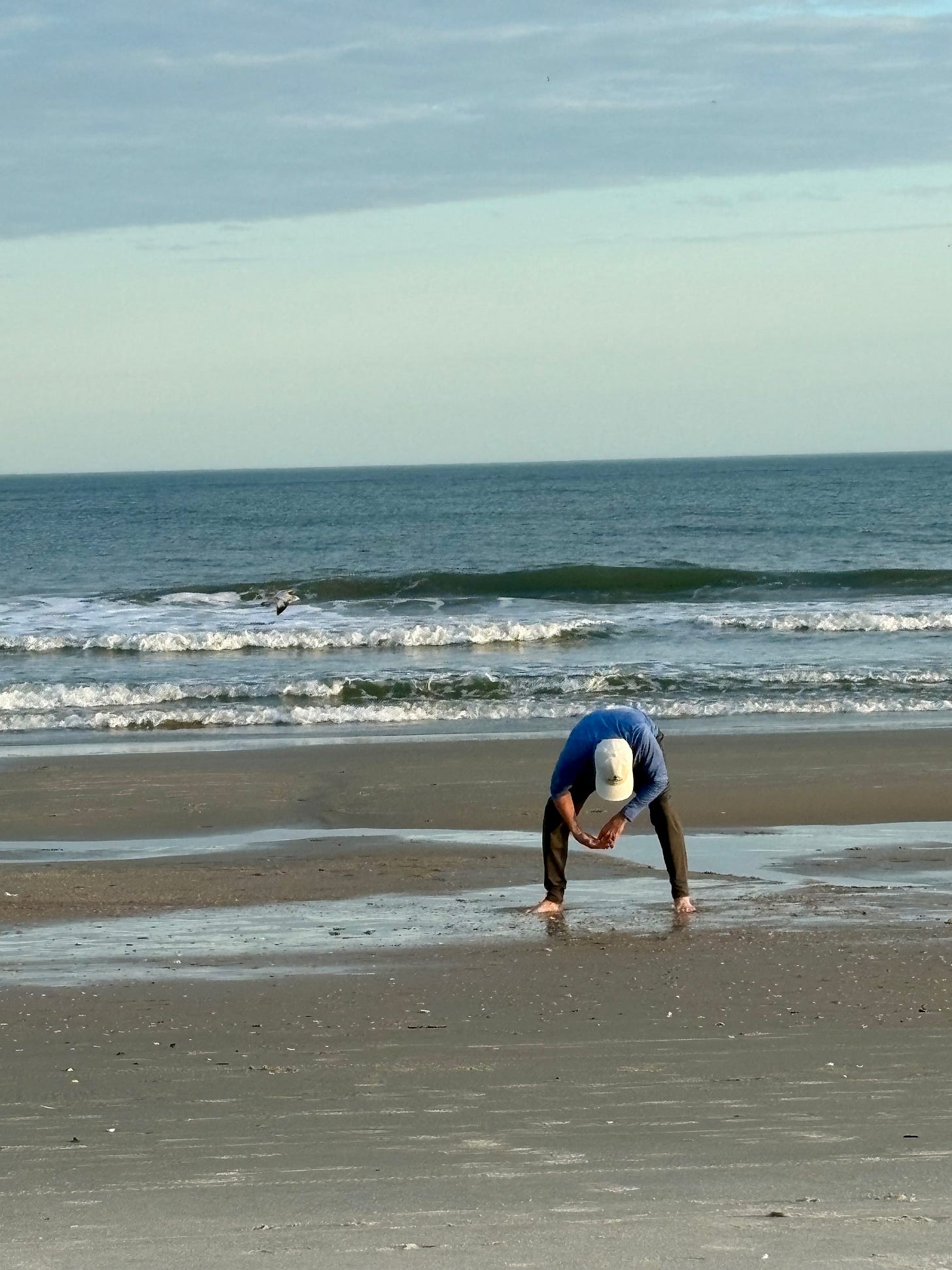 man looking for shells on the beach