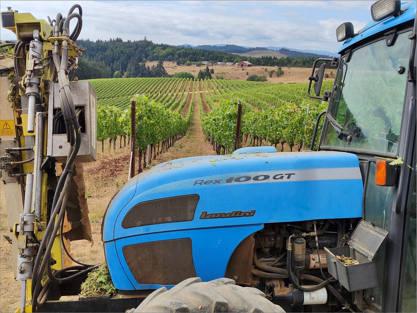 Miles of hedged vines and the machine that makes it happen.