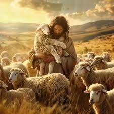 Matthew 18 - The Parable of the Lost ...