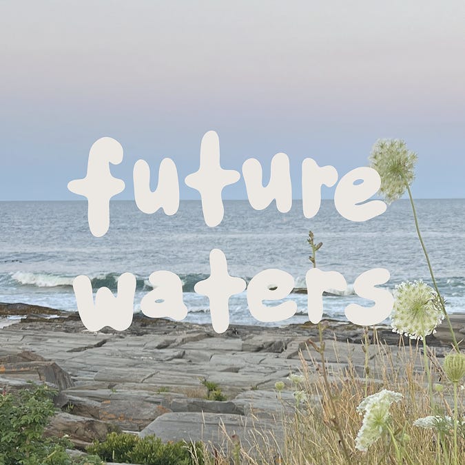 Future Waters