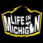 Life In Michigan's avatar