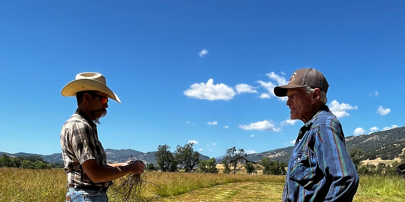“This shuts us down:" Potter Valley ranchers say PG&E cut water without warning amid dam removal fight