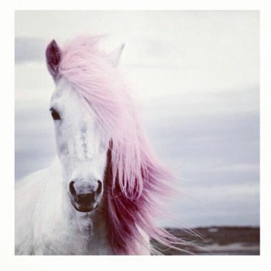 Manual da inutilidade 