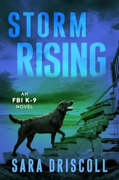 Murder Mystery Thrillers with strong female detective characters