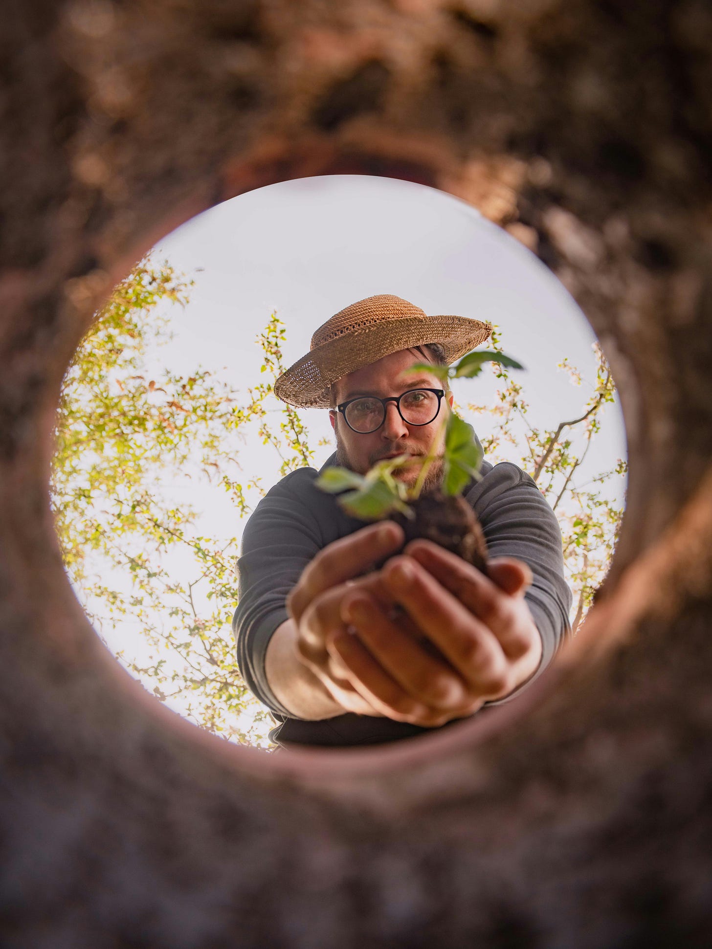 white man with glasses and straw hat holding a small sapling out in front of him. The picture is taken from the bottom of the pot he is about to plant the plant into