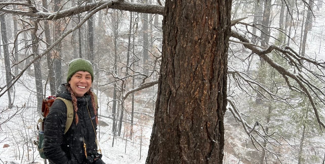 Seedballs, Willow Wattles*, and The Bear Theft Part 2