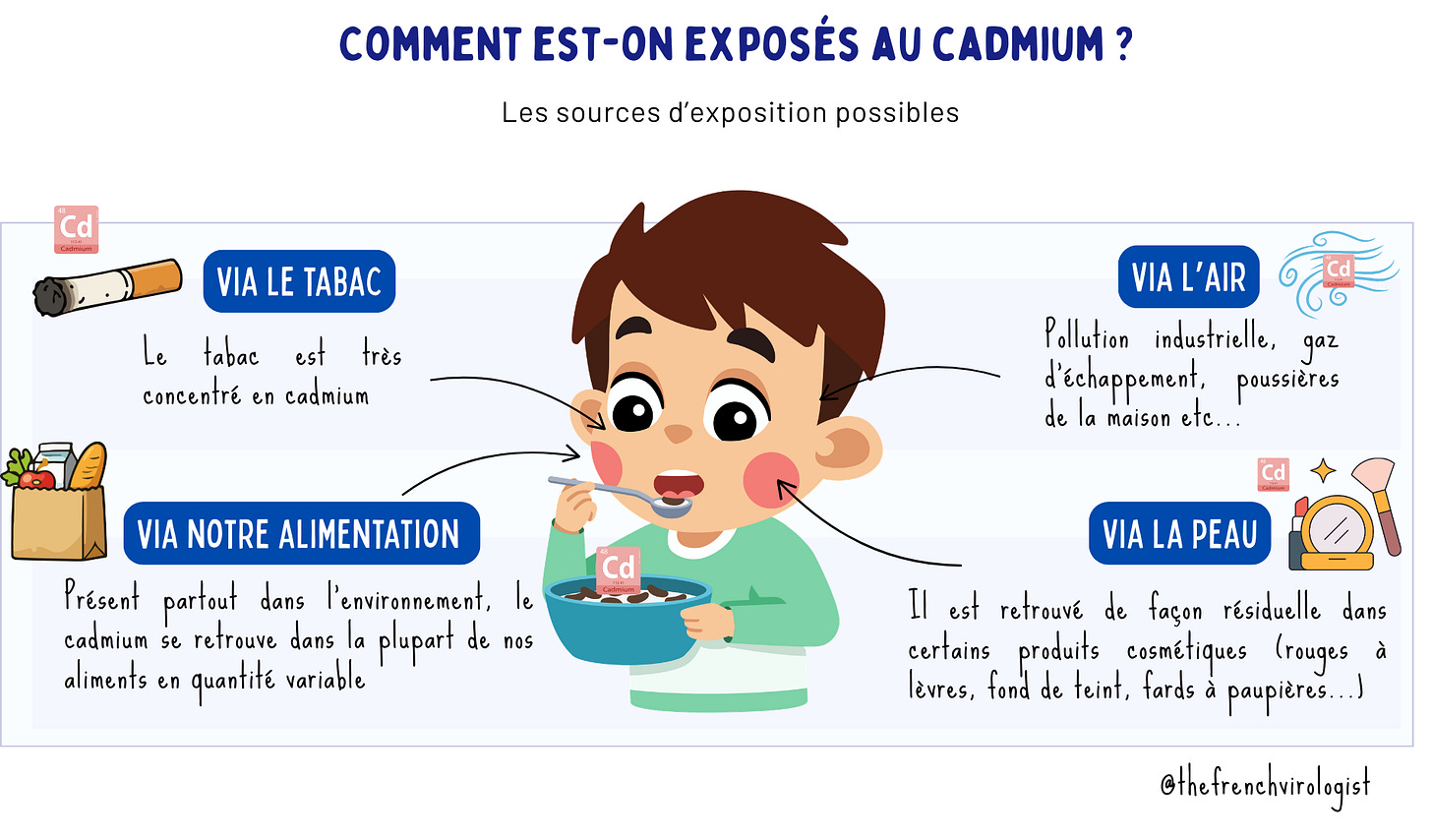 Infographie : 4 voies d'exposition au cadmium — tabac, alimentation,  air (pollution industrielle) et peau (cosmétiques).