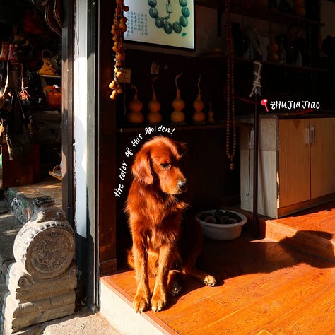 Zhujiajiao scenes pt. 2