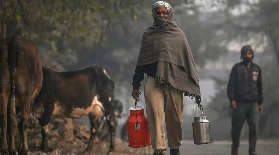 Indian milkman
