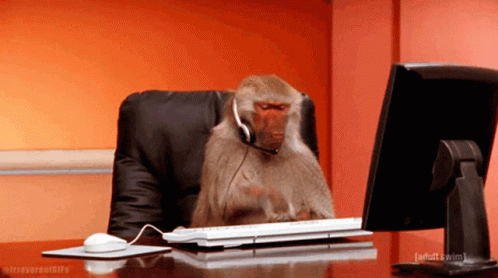 Working Monkey GIFs | Tenor