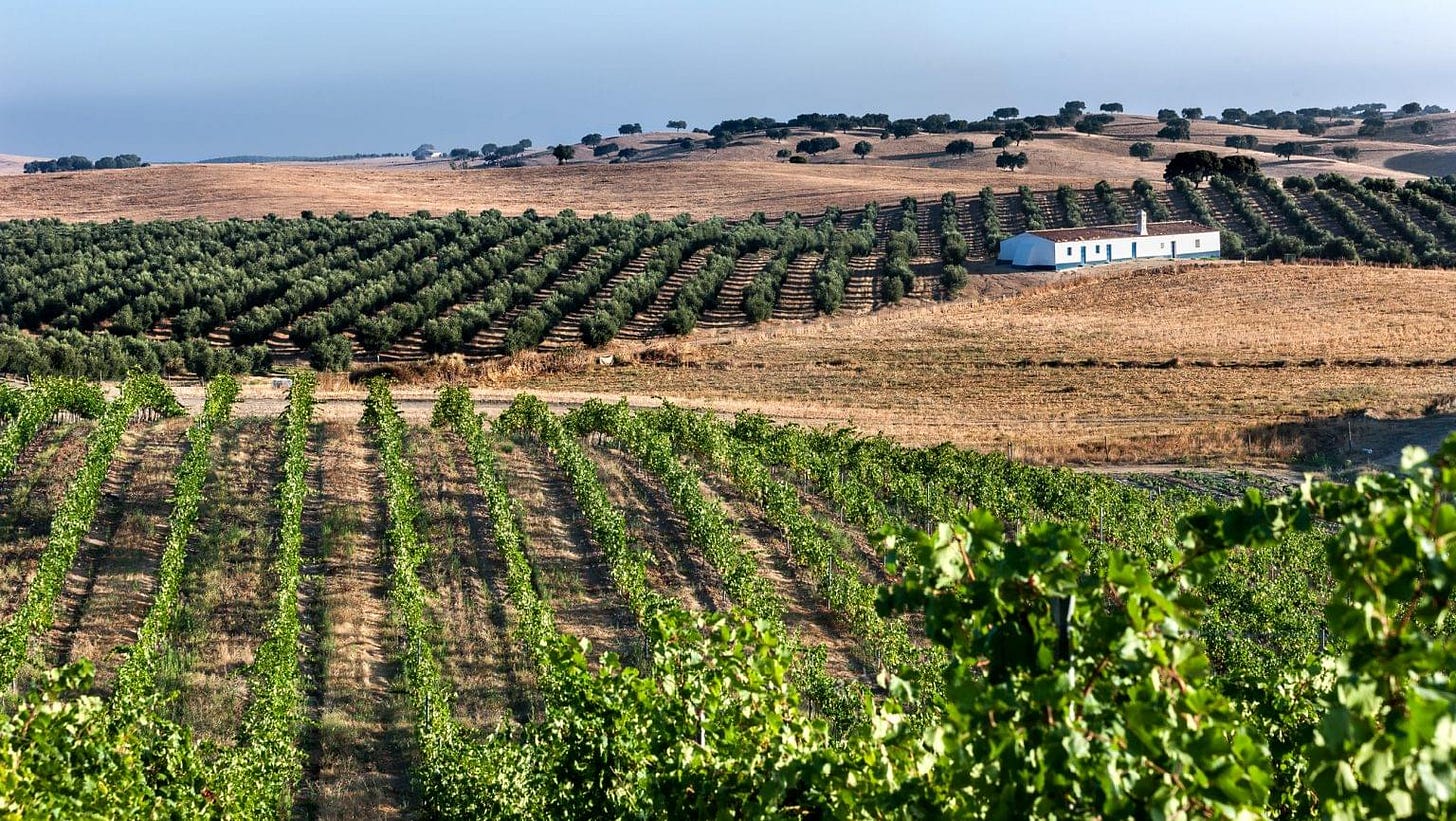 Alentejo | SevenFifty Daily
