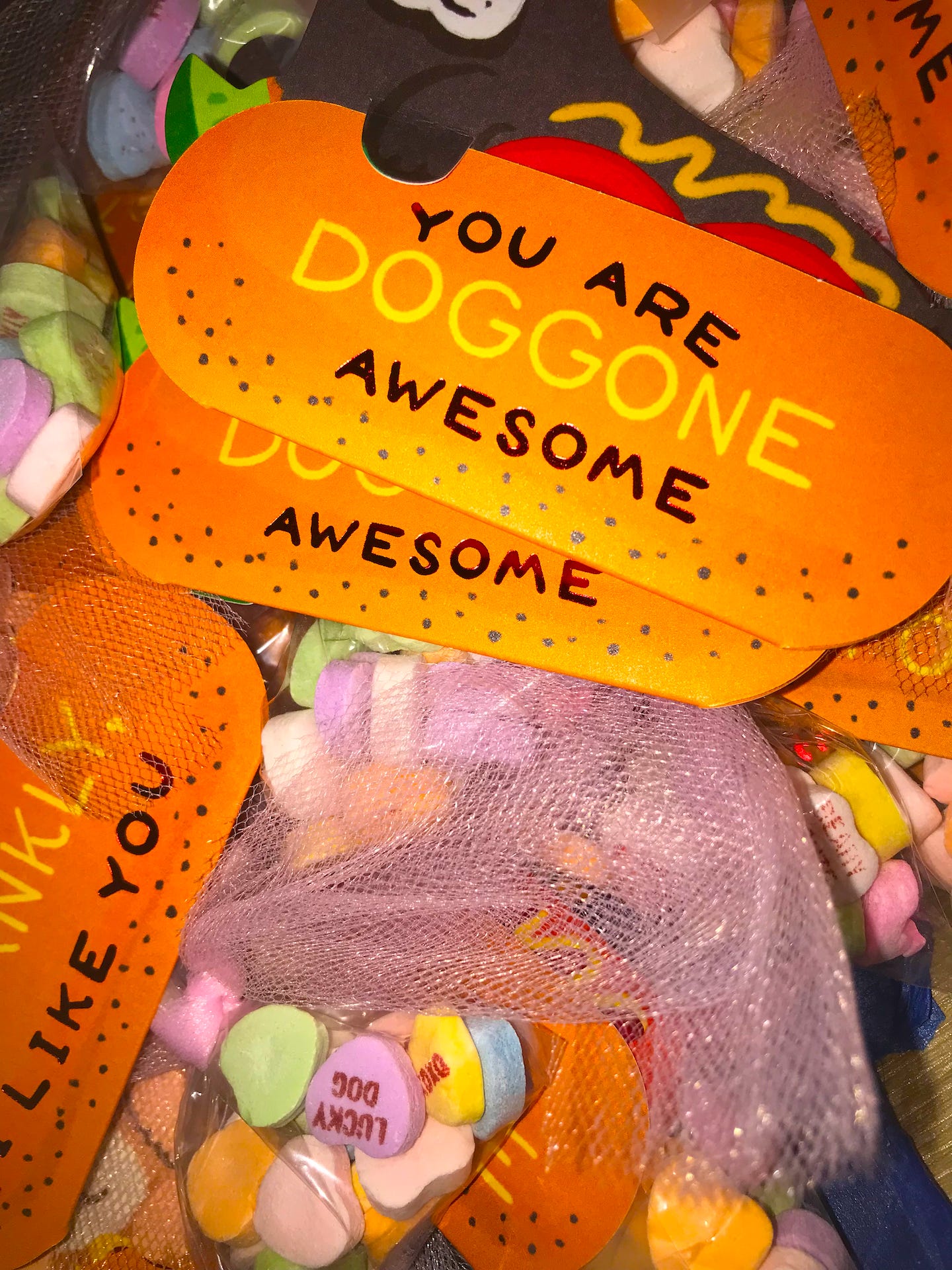 valentine cards and candy valentine cards and candy