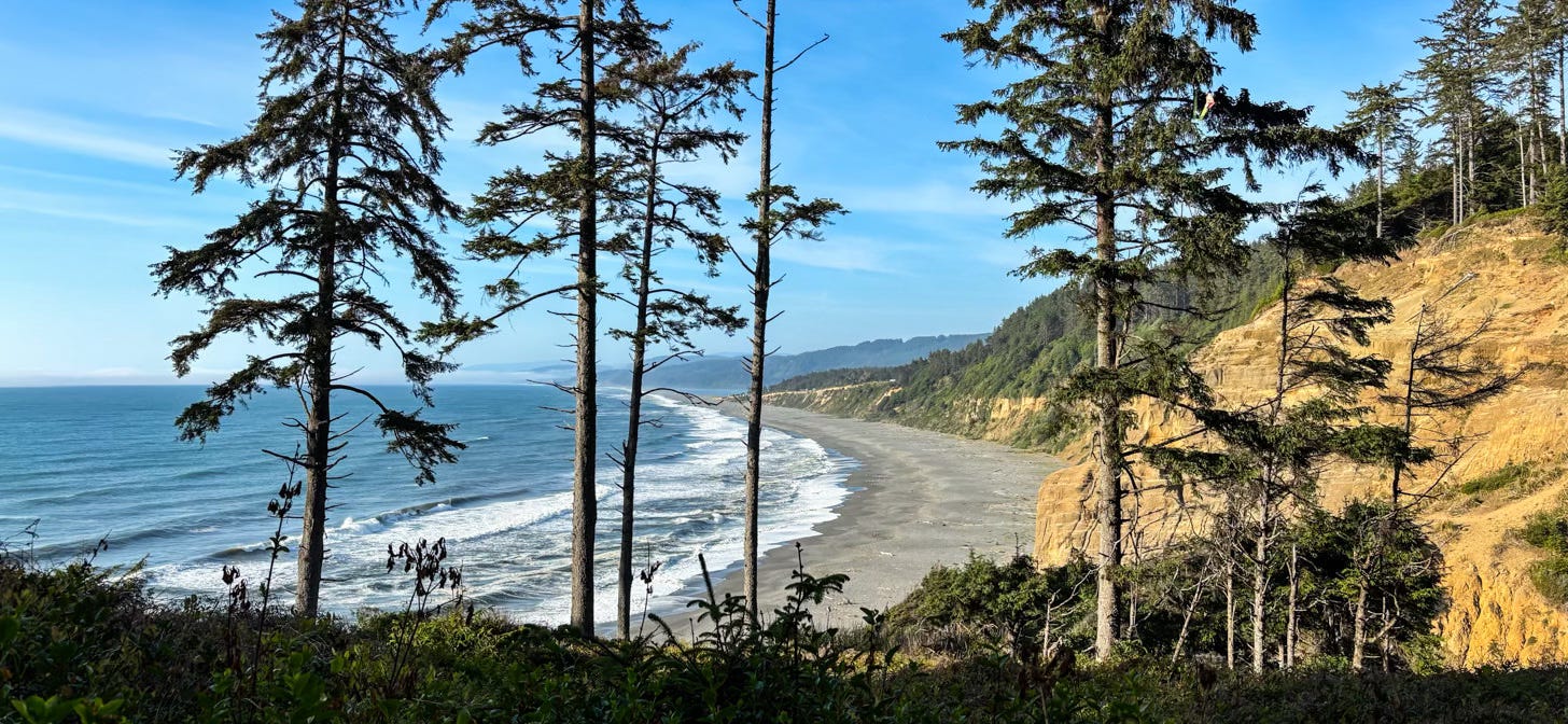 crescent ocean beach as seen from high cliff looking down at blue water with white foamy waves and hills with pine trees
