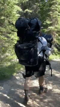 Carry On Quarantine Sticker by The Heavy Hours