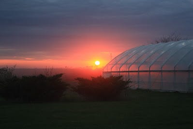 another sunset on the farm