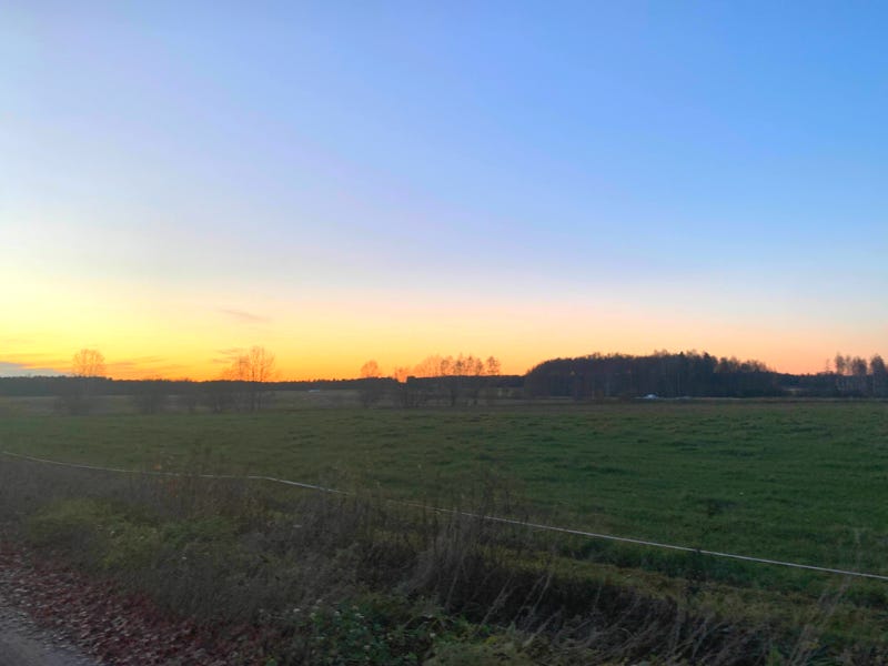 A red/yellow sunset over a green cattle pasture (no cows are visible, they are in the the night)