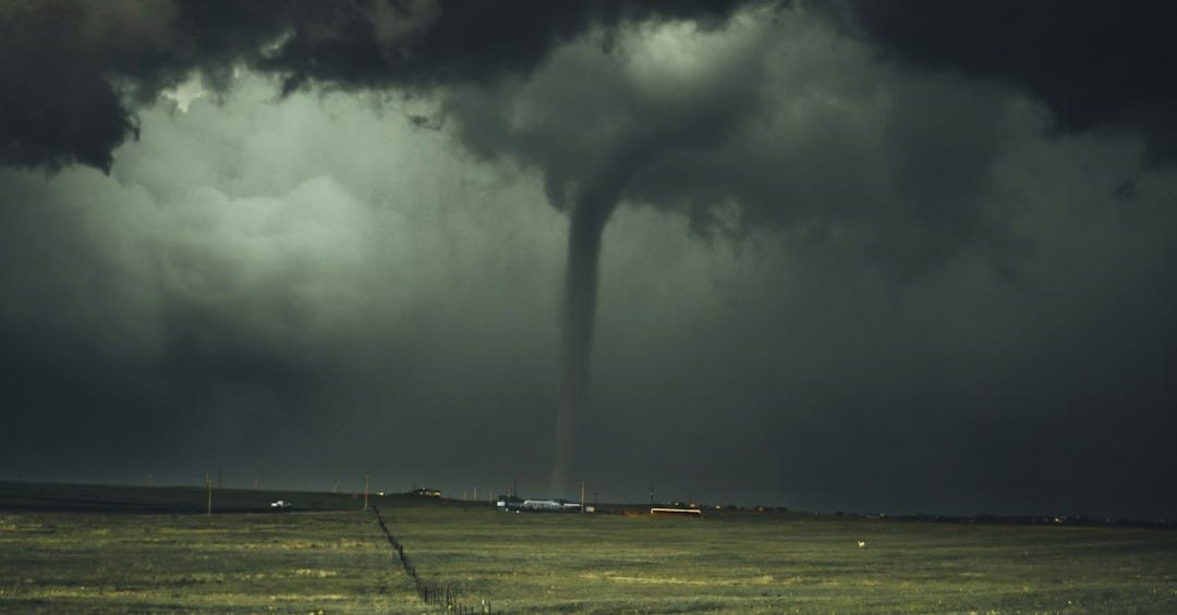 storm near leafed plants