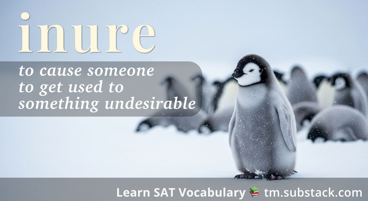 A photorealistic baby emperor penguin chick stands alone in the foreground during an Antarctic snowstorm, its fluffy gray down feathers covered with snow but maintaining a calm, confident posture. Other penguin chicks huddle together for warmth in the blurred background. The lone chick appears completely accustomed to the harsh conditions, demonstrating adaptation through repeated exposure. Set against a pale blue-gray icy landscape; used to illustrate the SAT word 'inure'.