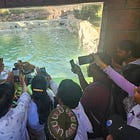 Investigating India #1: First Impressions