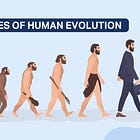 The Animal That Invented Progress
