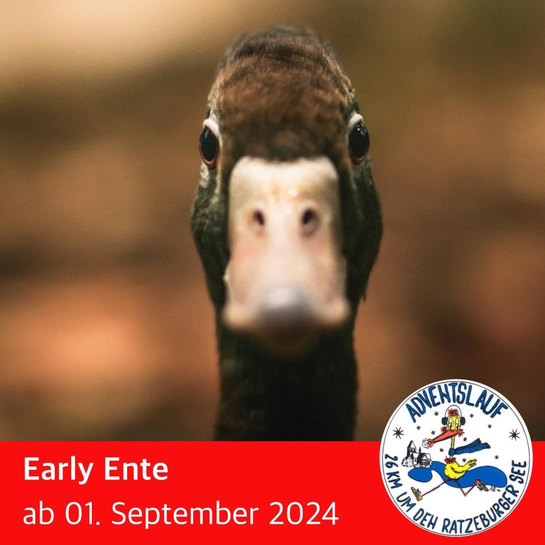 May be an image of goose and text