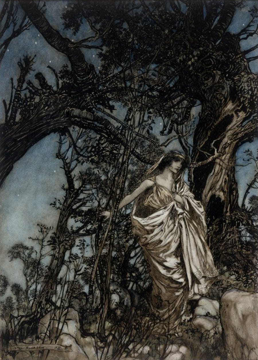 Arthur Rackham: Enchanting the Golden Age of Illustration