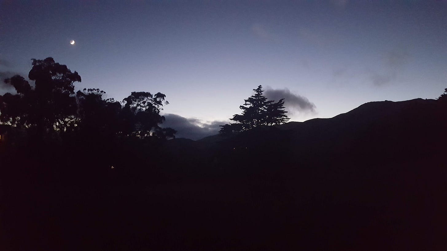 A mysterious image of the waxing moon rising over a dark meadow.