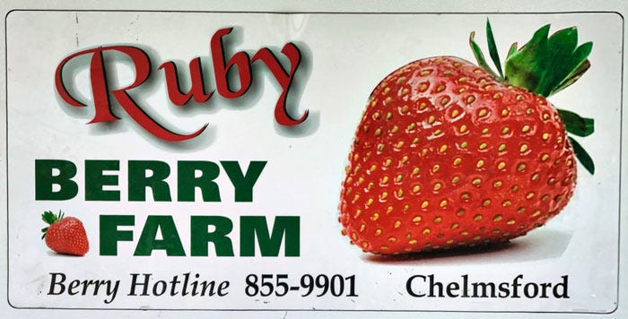 STRAWBERRY FIELDS 『Lips Like Strawberry』 Amazon.com: Beauty For Real Lip Revival Hi-Shine Hydrating