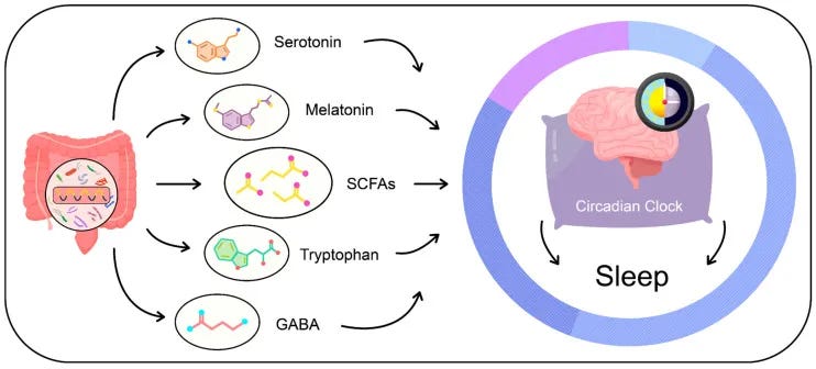 https%3A%2F%2Fsubstack post media.s3.amazonaws.com%2Fpublic%2Fimages%2F96e74e78 02e3 4f81 89ec